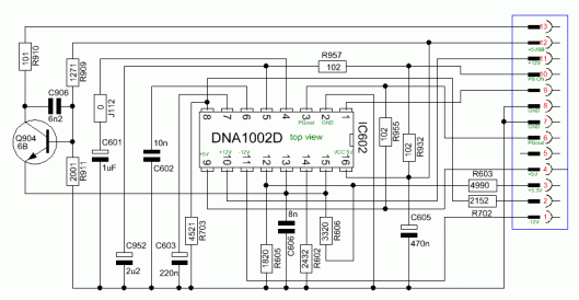 DNA1002D
